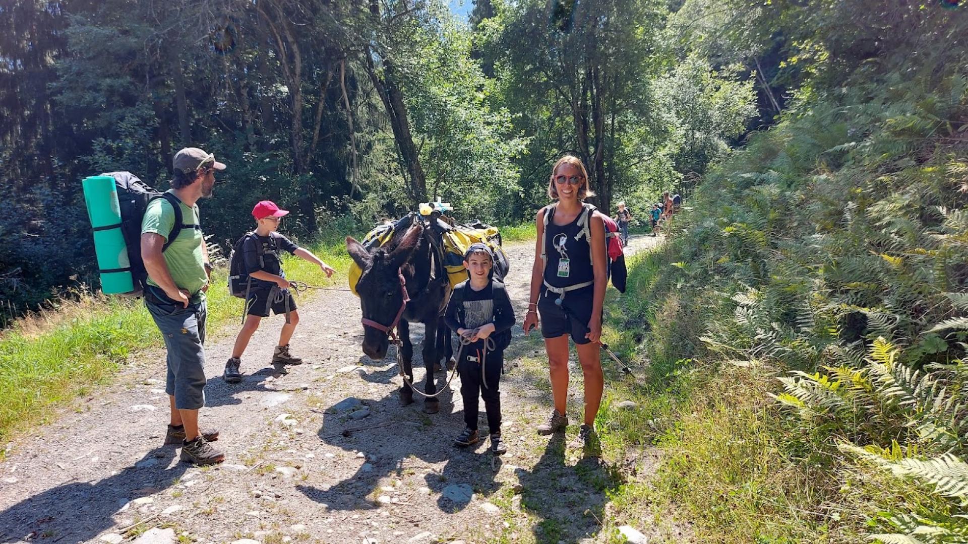 les enfants mènent les ânes