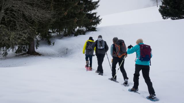 Plateau d'Agy raquettes